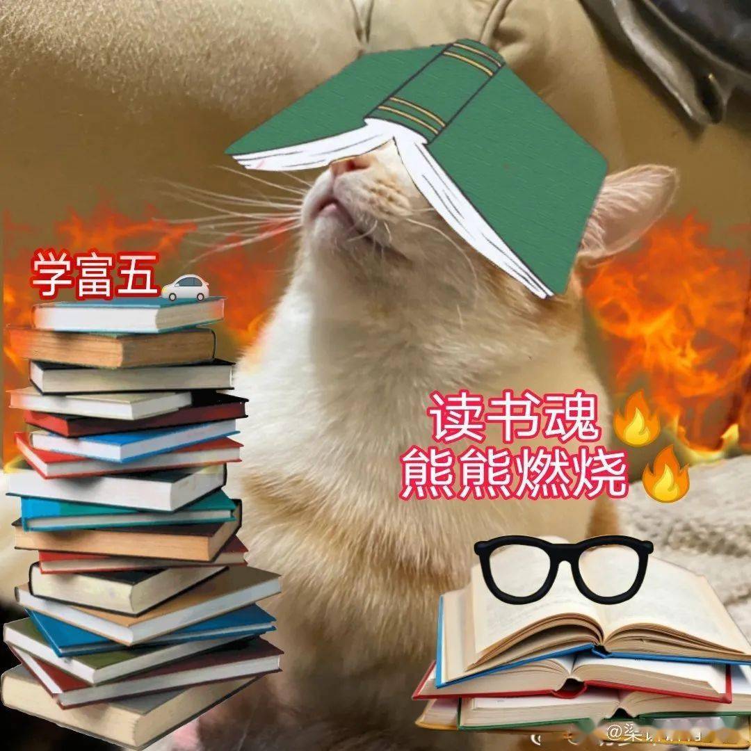 专业的老师和优秀的学霸们为你指点迷津全方位向你喷射高分喷雾供稿