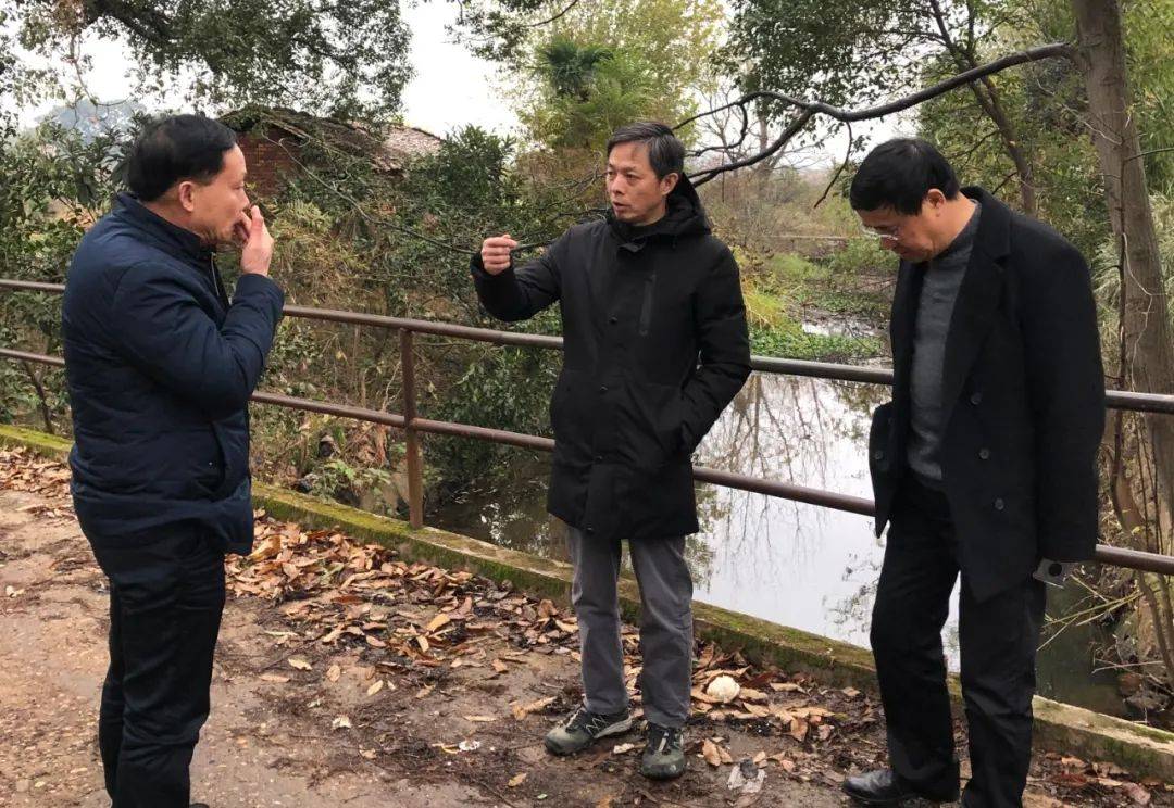 林愚调研滨江路1号桥排口上游生态环境情况_渝水区