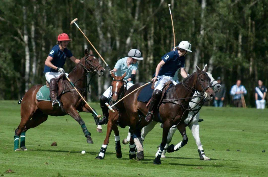 活动预告 | 体验英式马术,领略精英教育,了解骑士精神