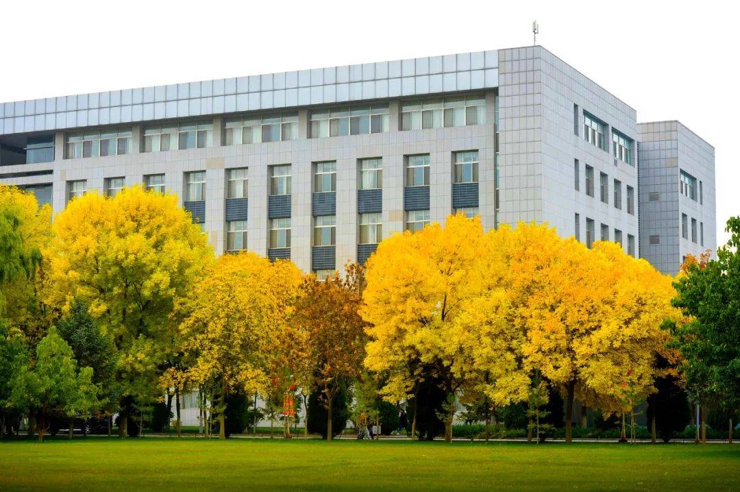 速转北方民族大学2020年招聘辅导员