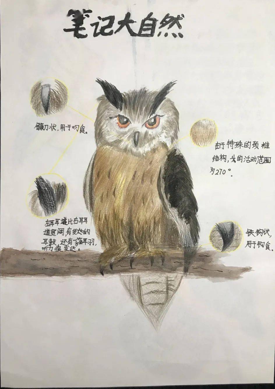 【精彩校园】触碰自然,描绘乐趣——记浦师附小2020学年第一学期笔记