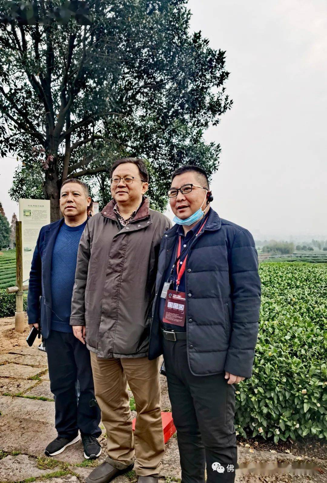 执行会长李强接受松阳电视台北京商报的采访