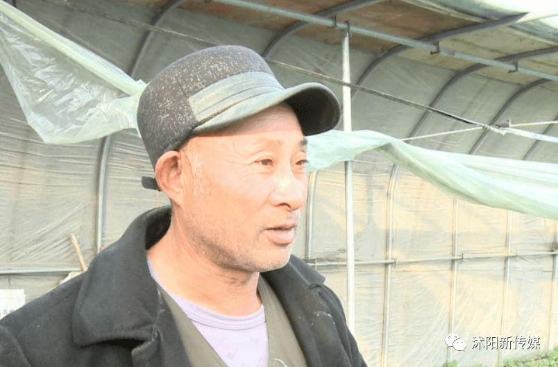 吃货们看过来沭阳茆圩乡空中草莓成熟了啦