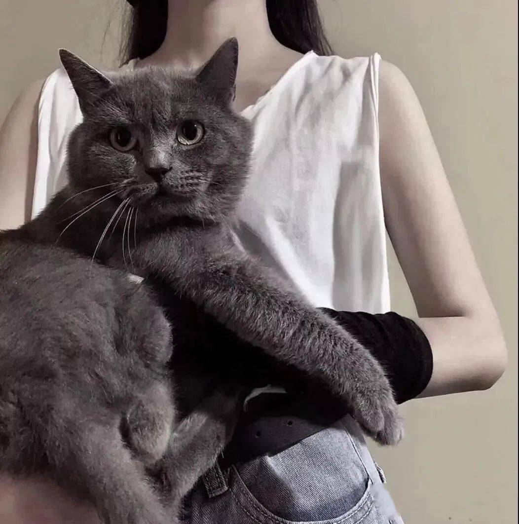 女生抱猫咪的高清头像图片