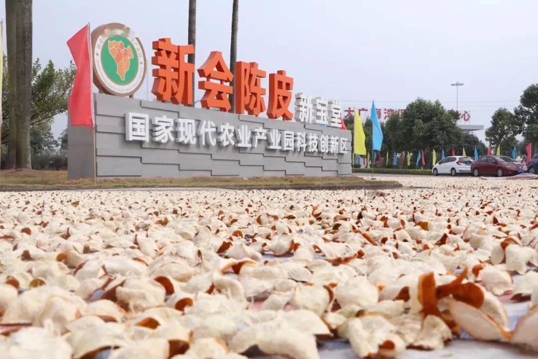 钟南山院士告诉你新会陈皮到底有多好