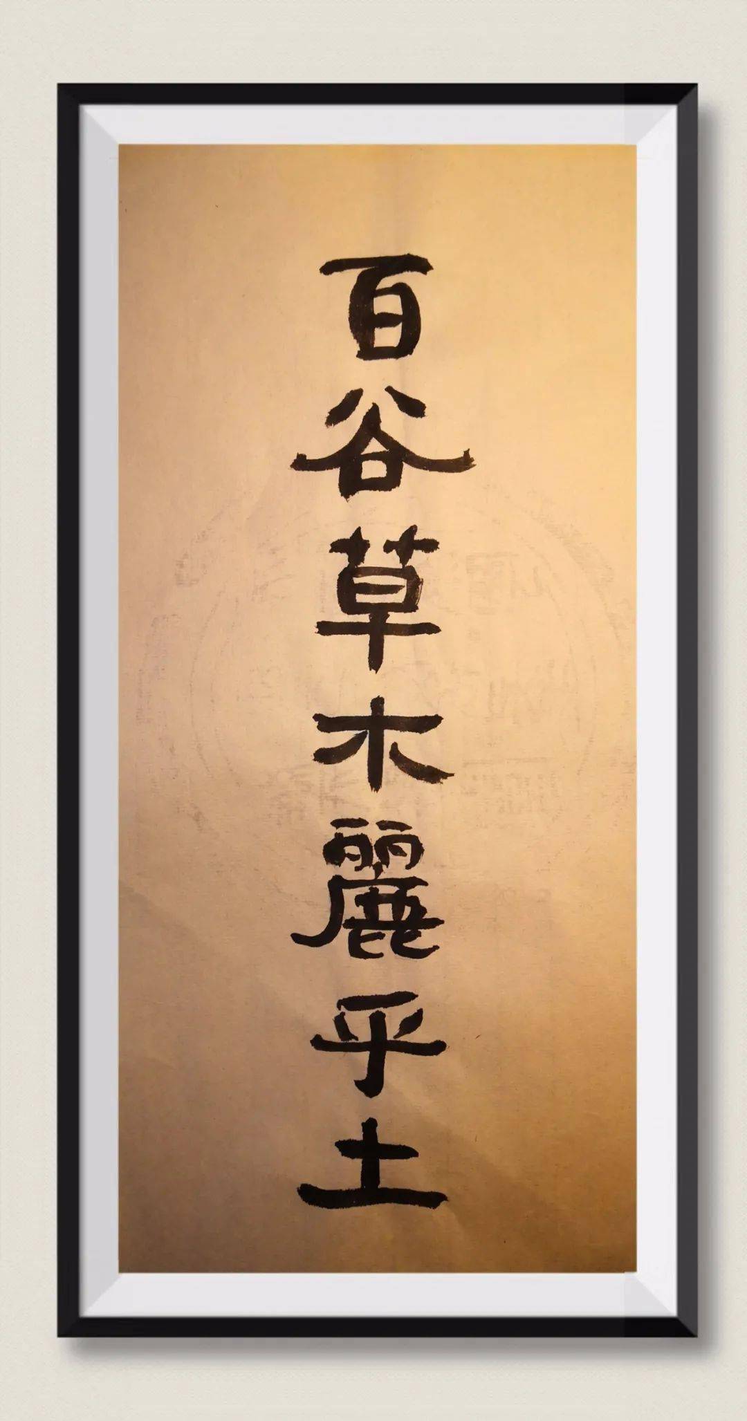 百谷草木丽乎土