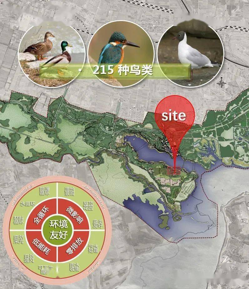 中国怀来湿地博物馆