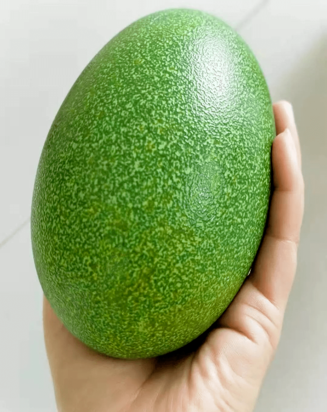 鸡蛋居然还有绿色的