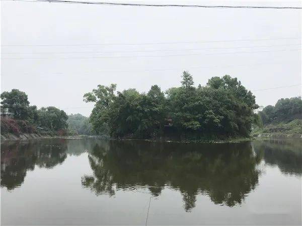 吊橋登島親子樂園安逸龍馬潭公園將這樣打造