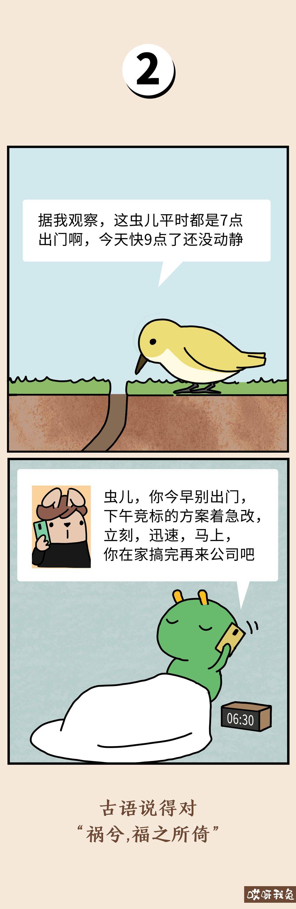 我就是早起被鸟吃的虫子,但我反转了命运