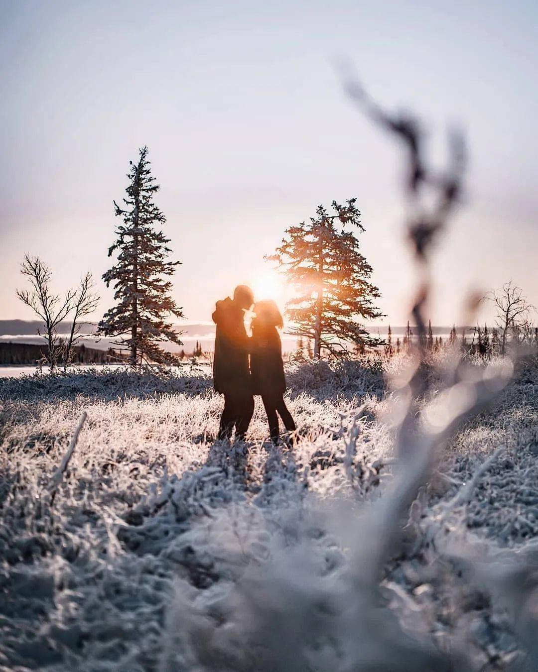 快乐 photo@wesleyoverklift/instagram 冰雪消融,早晨的空气