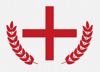 【教研动态】珍爱生命,"救"在身边——红十字会救护员急救知识学习