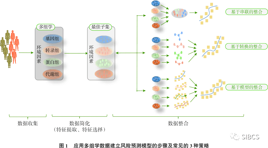 多组学数据在乳腺癌研究中的应用