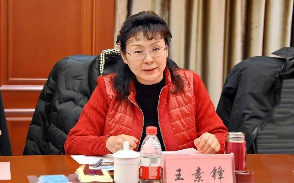 国家矿山安全监察局调研组来枣矿集团调研指导工作