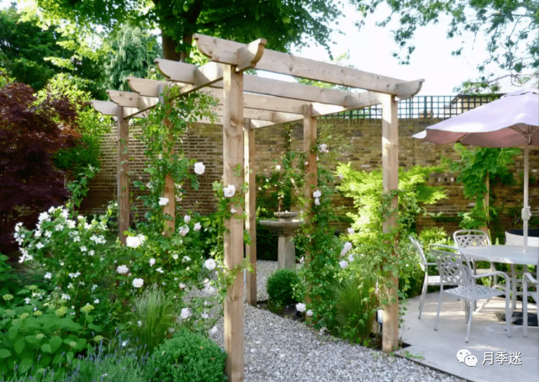 凉亭和喷泉虽然是新的,但斯科菲尔德的植物选择还是经典的英式花园