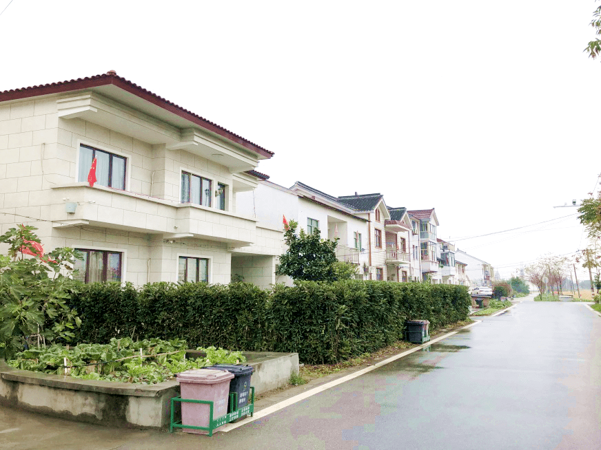 青浦区村容环境示范村的高"颜值秀,请您来评审_香花桥街道