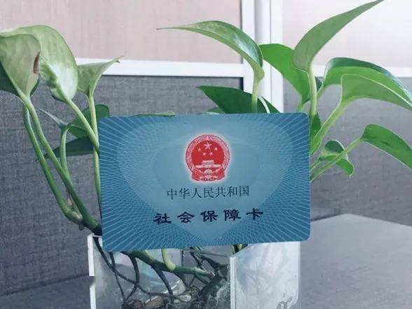 官宣2021年1月起各类社保待遇将统一使用社保卡发放