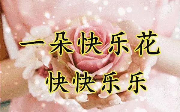 中老年表情包生活五朵花人人需要它请查收