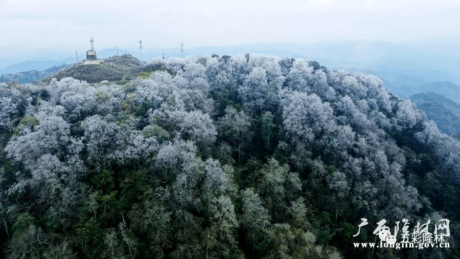 隆林金钟山壮美冰景