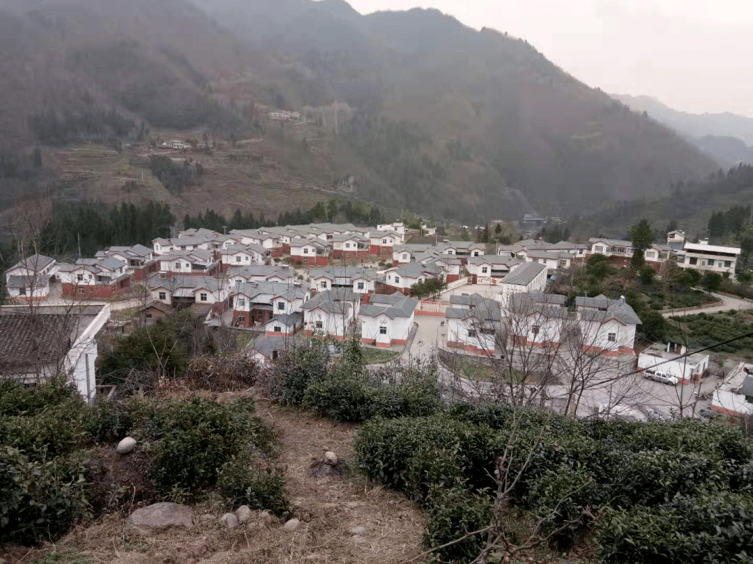 赶紧看!通江7个镇,72个村,15所学校和9家医院……_通江县