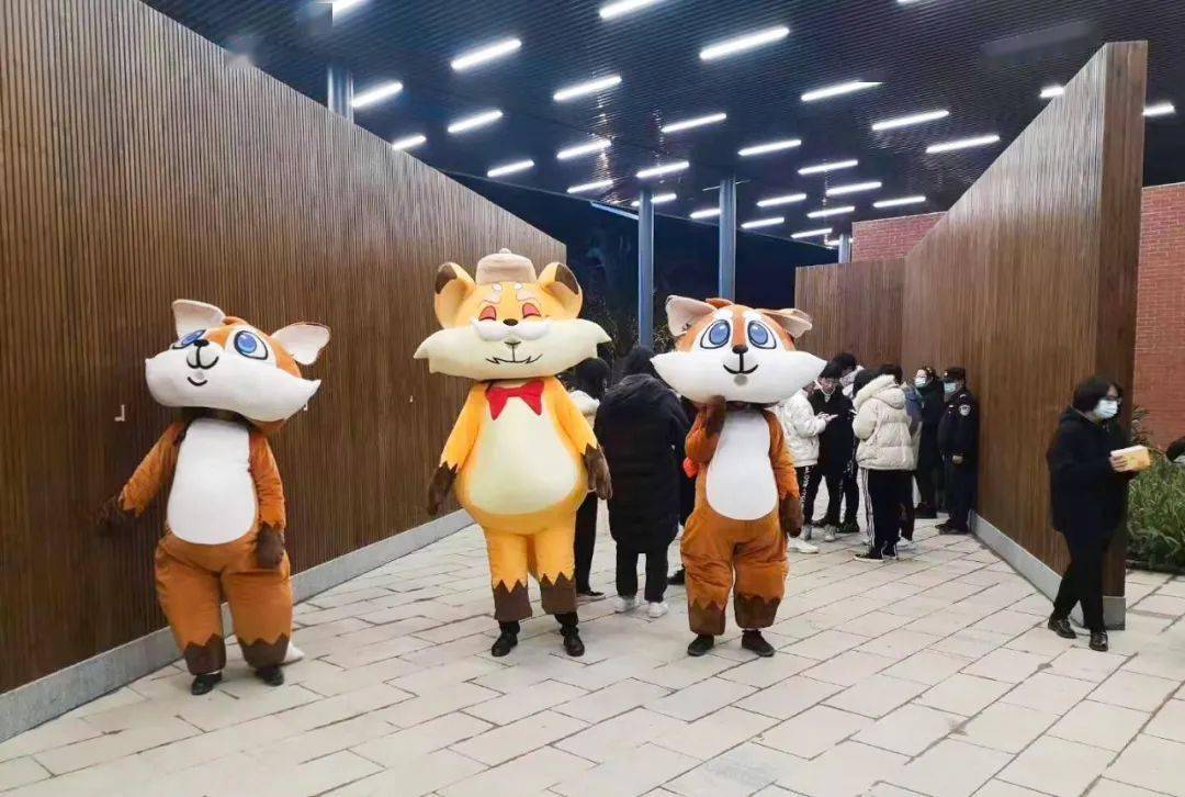 2020缘来新昌十九峰狐巴巴音乐会举行