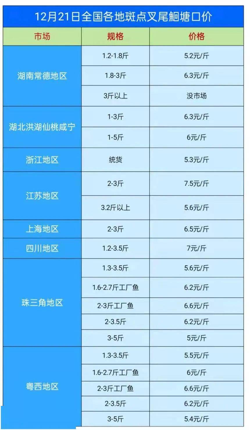 养殖户急售鱼鮰鱼市场行情不太好鮰鱼价格元旦节前上涨难3斤以上鮰鱼