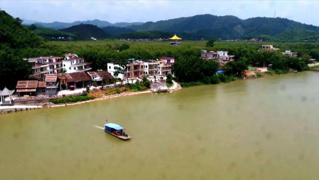 横山镇打造一镇一业产业发展推进乡村振兴