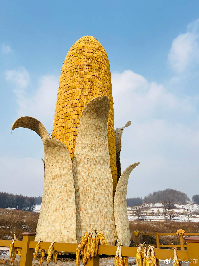 20000根玉米做的黄金玉米屋你见过吗！