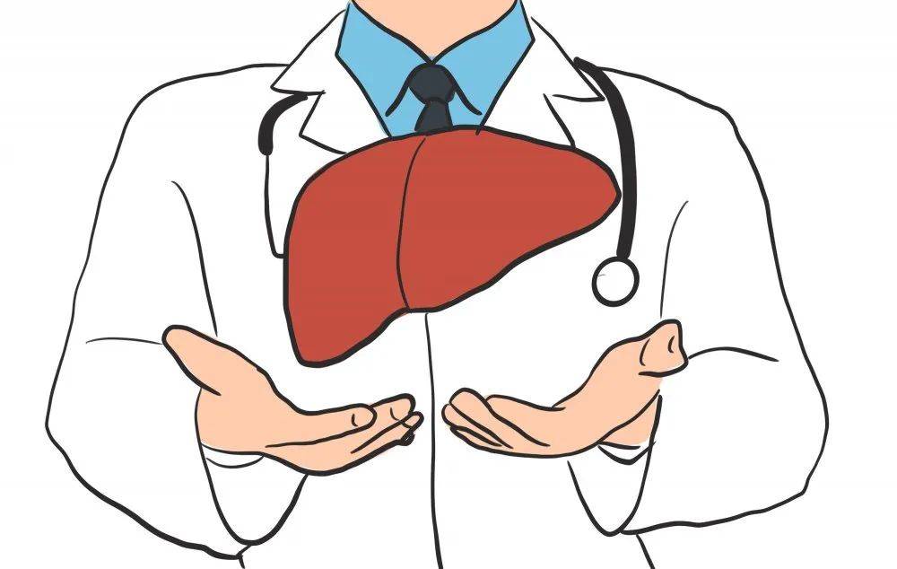 【疾病科普】从肝硬化到肝癌,身体会给你3次机会!_肝脏