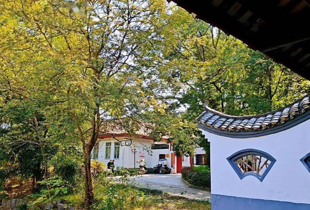 冬季的雁山园 风景似春华
