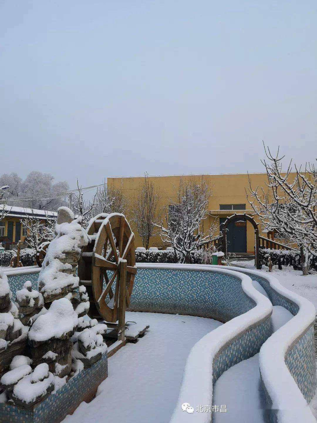 阳坊镇中心幼儿园阳幼的诗和远方