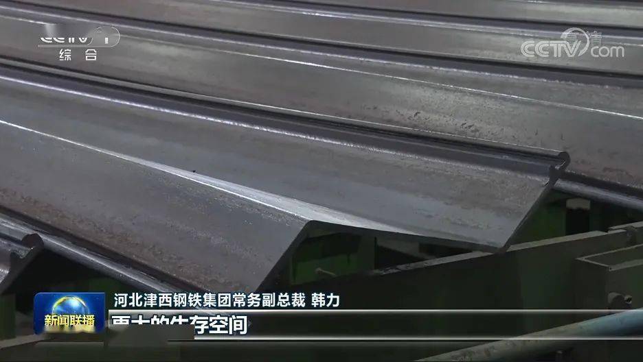 河北津西钢铁集团常务副总裁韩力接受央视记者采访时说:"如果没有压减