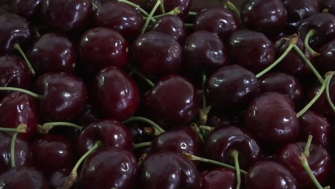 无锡人爱吃的这种水果,价格降了!_车厘子