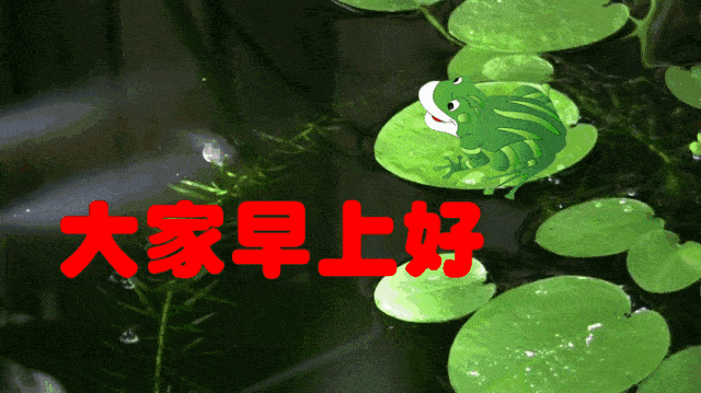 640_359gif 动态图 动图