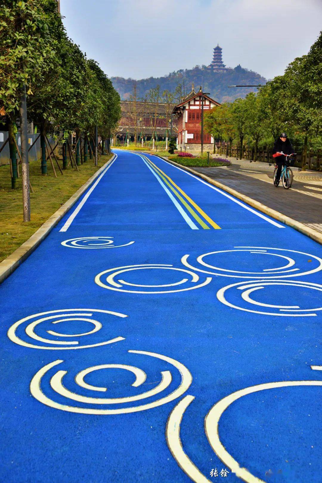 走,去南桥逛锦江绿道了!