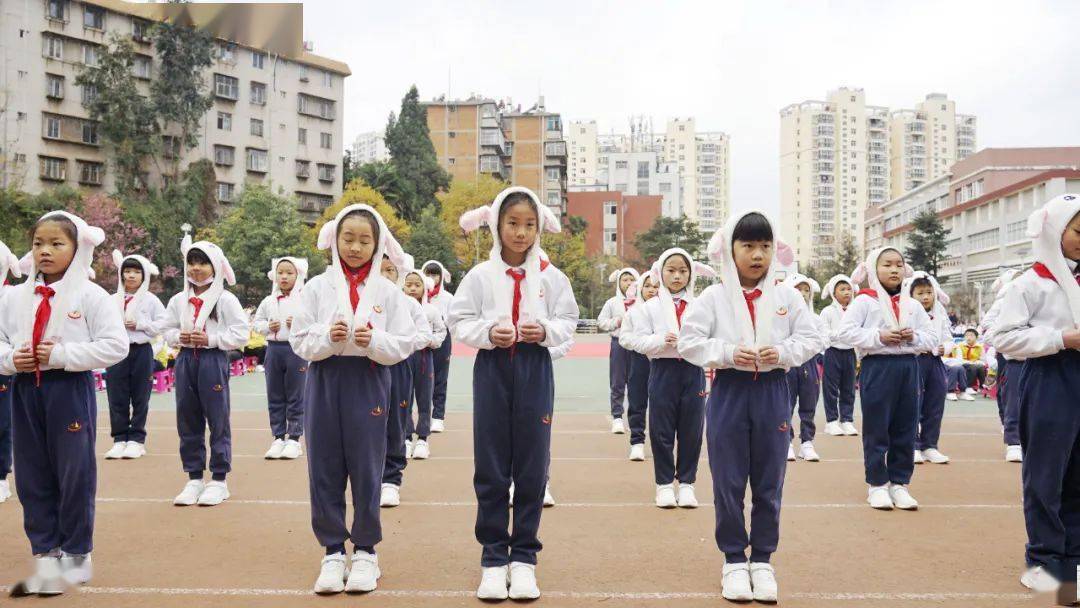 昆明云铜小学图片