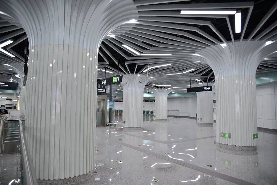 地铁四号线首通掠影列车顶部装饰很漂亮是海洋动物