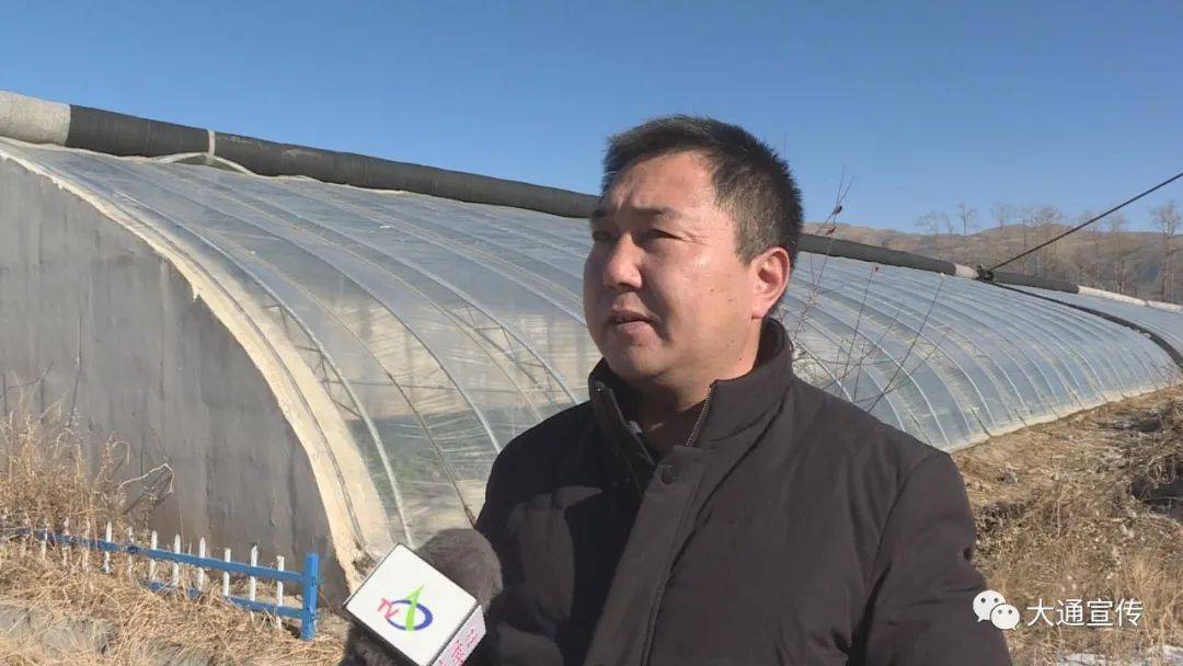 据了解,大通县现在引进的果品主要有蟠桃,樱桃等,草莓种植有250多棚
