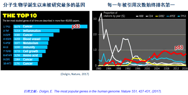 瑞金醫院盧敏團隊實質性獲得靶向治療領域的聖盃p53靶向化合物