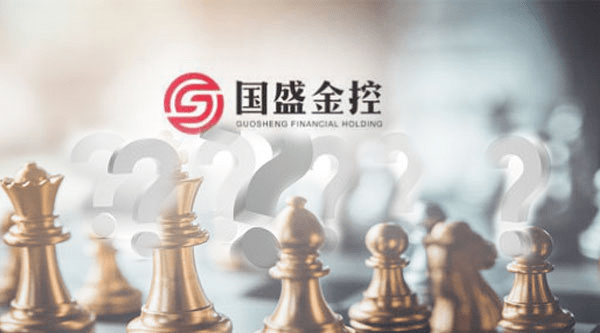 第二季被解聘董秘公开反击一纸诉状请求撤销董事会决议国盛金控回应将