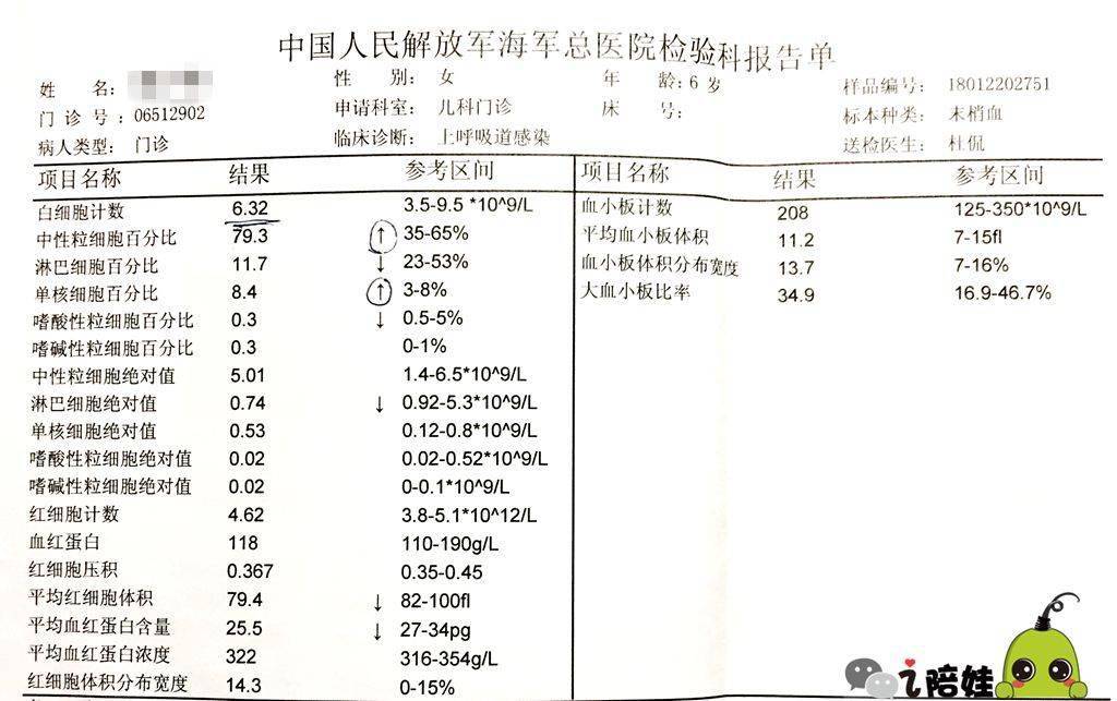 孩子的感冒多發季不焦慮教你1分鐘看懂血常規化驗單