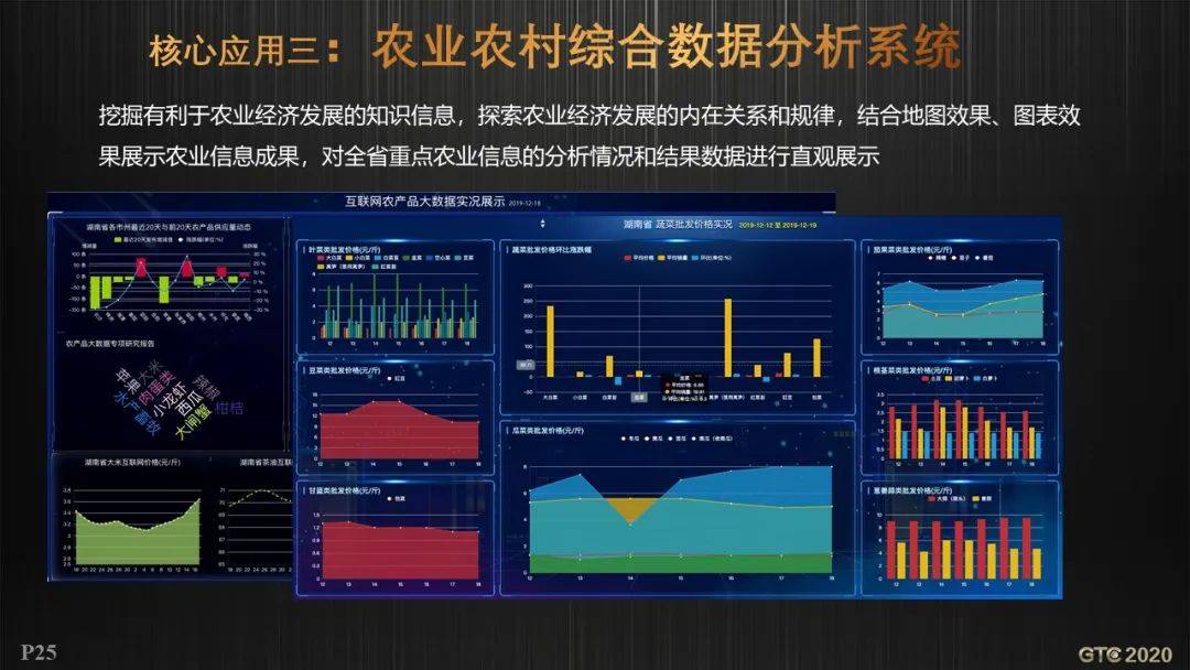 农村厅信息中心刘曙光主任作《gis支撑湖南智慧农业大数据平台》报告