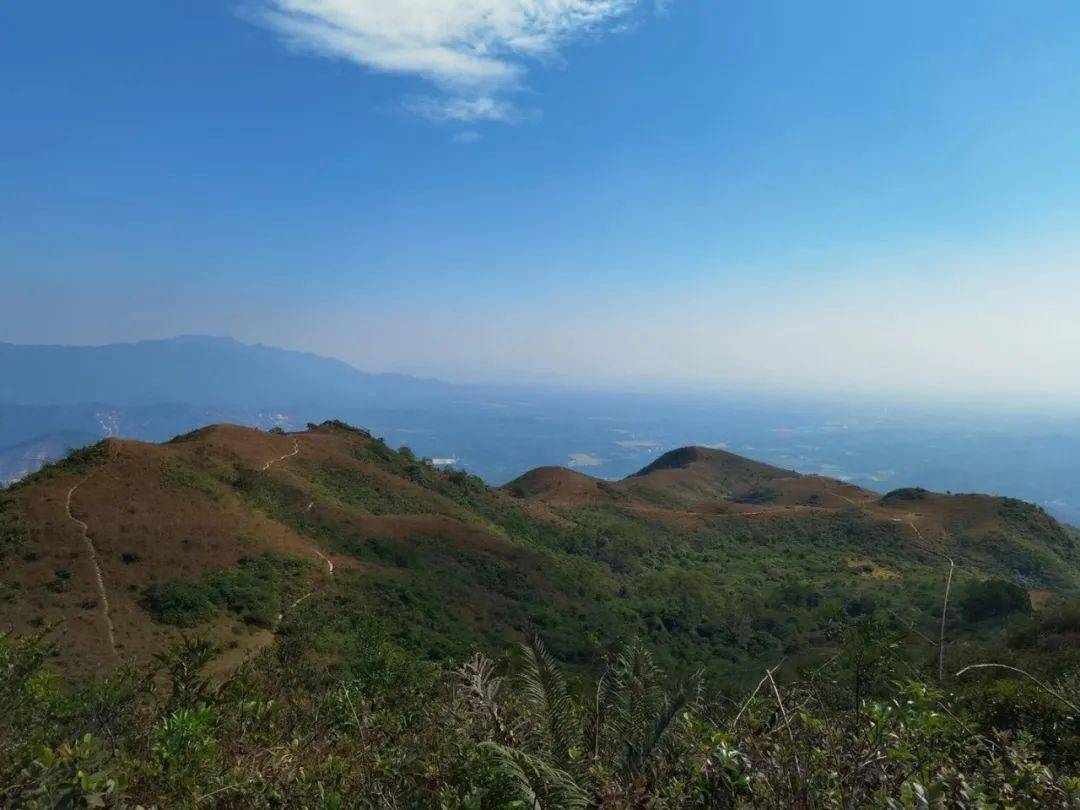 【元旦1号出发】新年登高祈福,徒步恩平第一峰牛塘山,赏醉美高山草甸