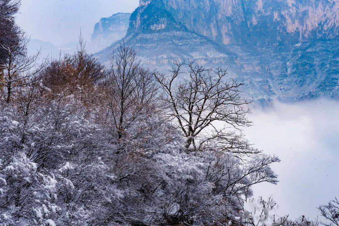 美圖欣賞津門網韓修平我拍南太行天界山雪景