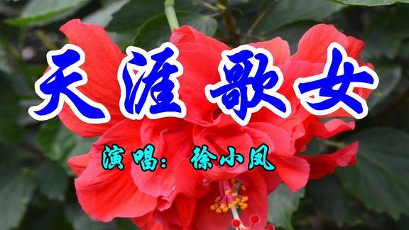 怀旧老歌徐小凤一首天涯歌女好听极了