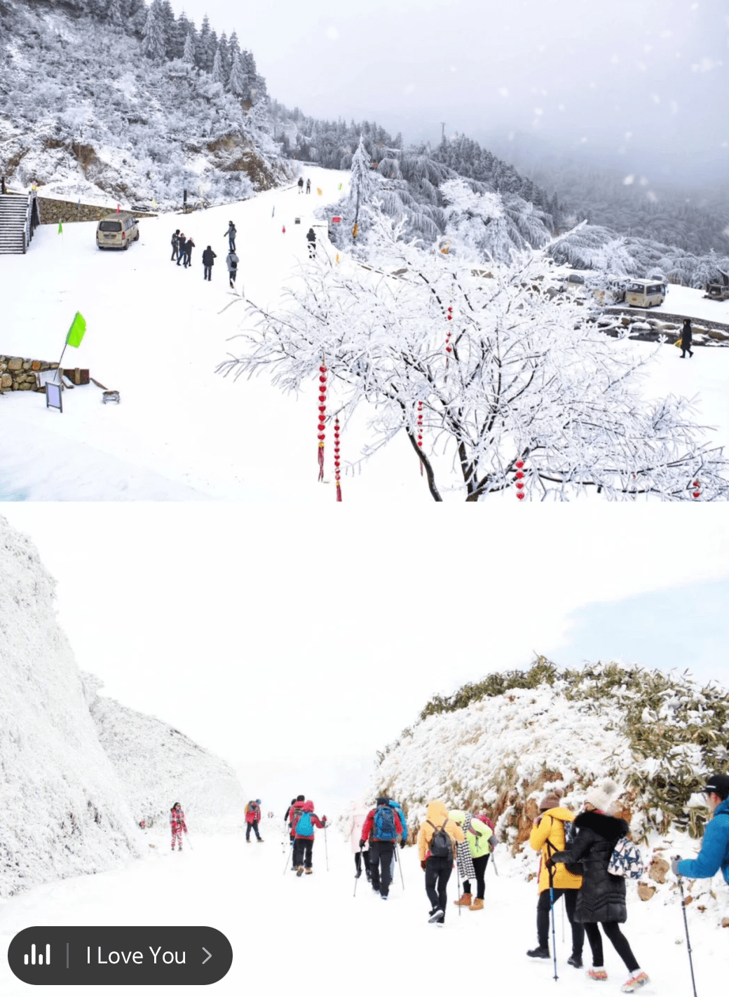 广东人对雪有多执着广州周边看雪好去处元旦走起