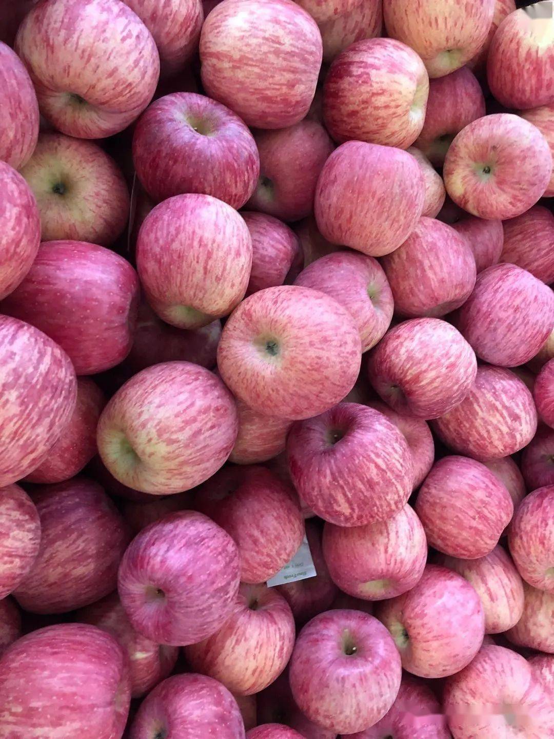 今年苹果市场低迷走货缓慢顺价销售才是首选