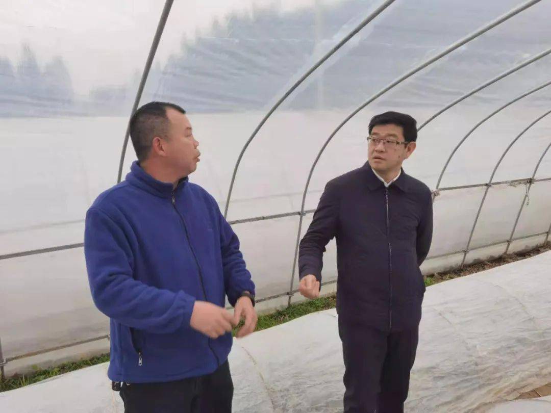 图文:泰宁县融媒体中心/廖升平,政府办