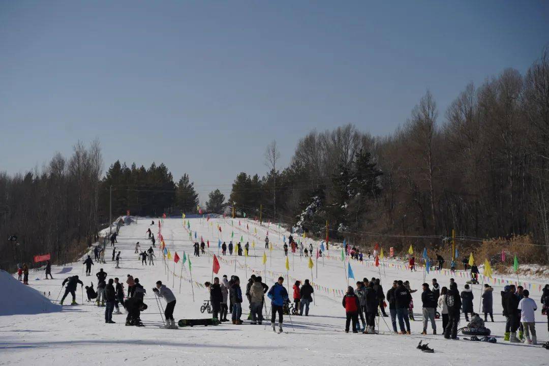 榆阳区体育训练中心副主任王海燕,红石峡生态公园滑雪场总经理魏杰