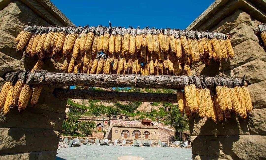 来榆林王家堡村,开启一场未知的乡村之旅
